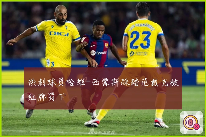 热刺球员哈维-西蒙斯踩踏范戴克被红牌罚下